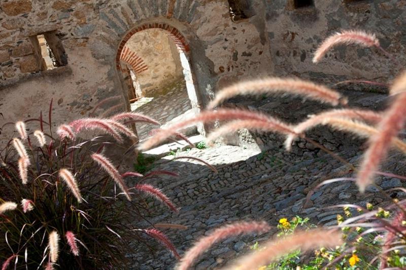 Le Roussillon Otel Amélie-les-Bains-Palalda Dış mekan fotoğraf